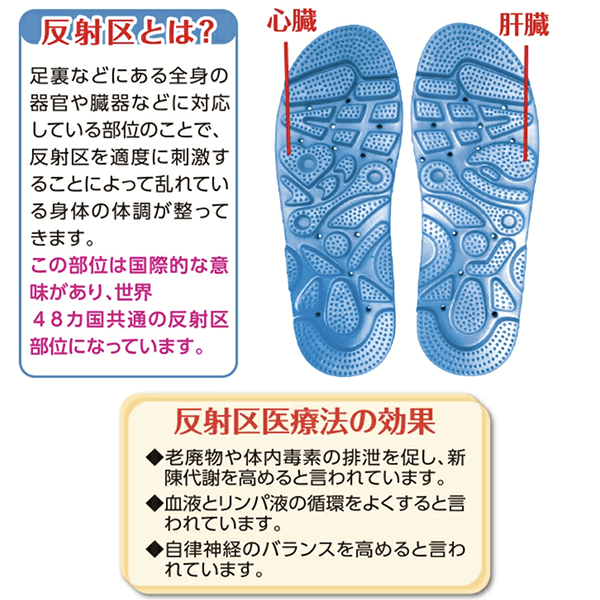 反射区とは？足裏などにある全身の器官や臓器などに対応している部位のことで、反射区を適度に刺激することによって乱れている体の体調が整ってきます。この部位は国際的な意味があり世界48カ国共通の反射区部位になっています。反射区医療法の効果。老廃物や体内毒素の排泄を促し新陳代謝を高めると言われます。血液とリンパ液の循環を良くすると言われます。自律神経のバランスを高めると言われます。